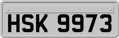 HSK9973
