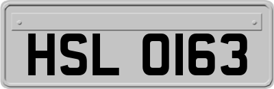 HSL0163