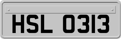 HSL0313