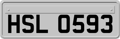 HSL0593