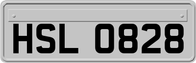 HSL0828
