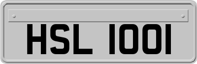 HSL1001