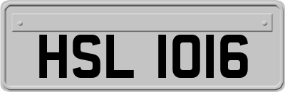 HSL1016