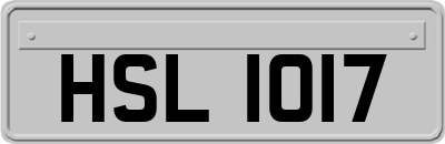 HSL1017