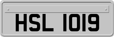 HSL1019