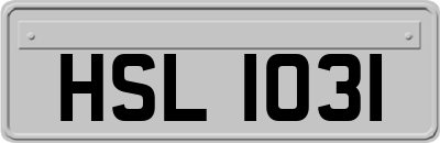 HSL1031