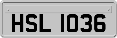 HSL1036