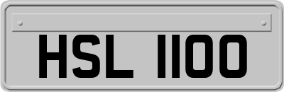 HSL1100