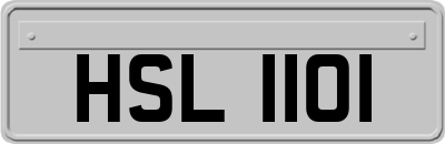HSL1101