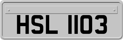 HSL1103