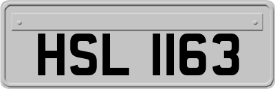 HSL1163
