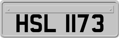HSL1173