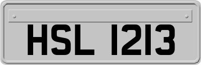 HSL1213