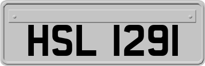 HSL1291