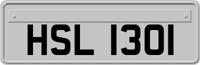 HSL1301