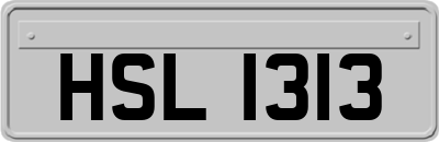 HSL1313