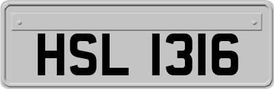 HSL1316