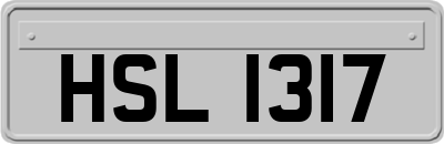 HSL1317