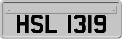 HSL1319