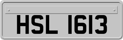 HSL1613