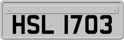 HSL1703