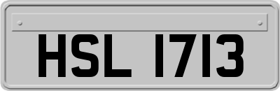HSL1713