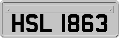 HSL1863