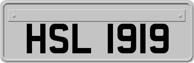 HSL1919