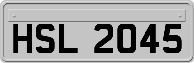 HSL2045