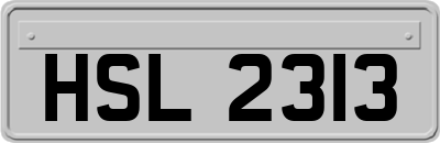 HSL2313