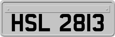 HSL2813