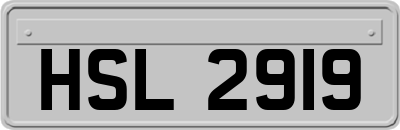 HSL2919