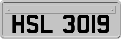 HSL3019