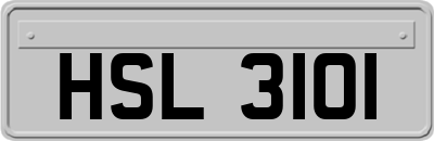 HSL3101