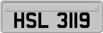 HSL3119