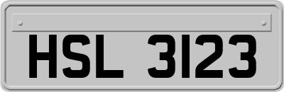 HSL3123