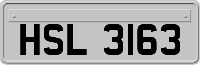 HSL3163