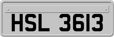 HSL3613