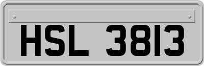 HSL3813