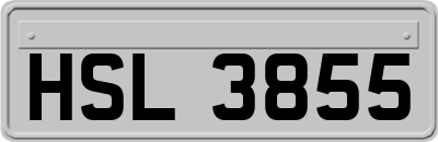 HSL3855