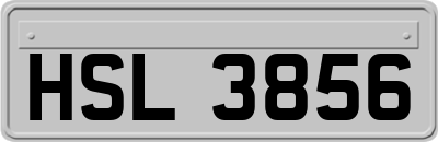 HSL3856