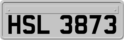 HSL3873