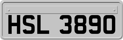 HSL3890