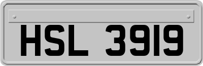 HSL3919