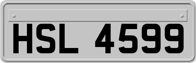HSL4599