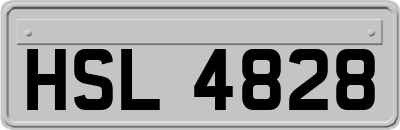 HSL4828
