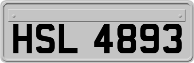 HSL4893