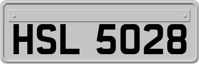 HSL5028