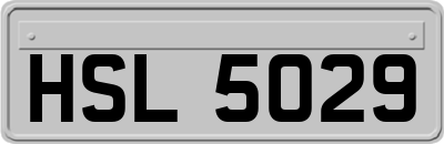 HSL5029