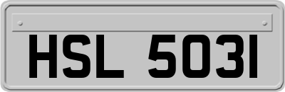 HSL5031